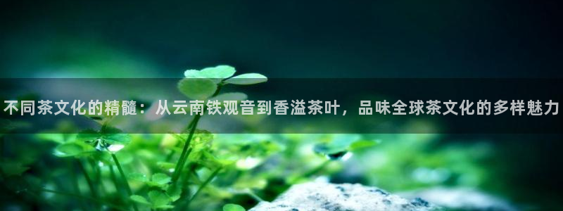 彩名堂怎么用不输