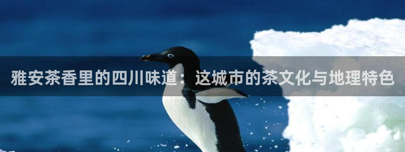 彩名堂预测软件与分析