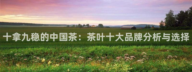 彩名堂安卓客户端官网