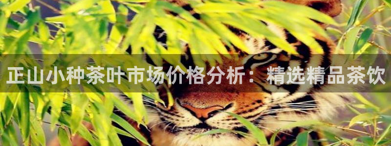 彩名堂为啥不准了乱变