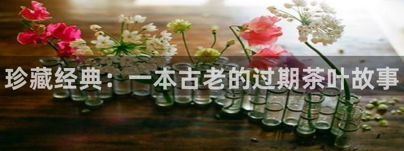 彩名堂排三