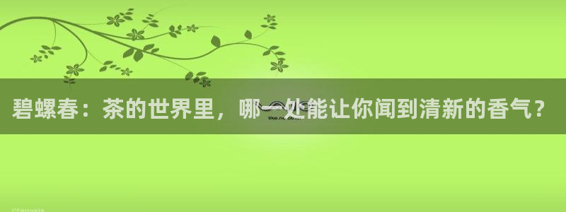 彩名堂排三