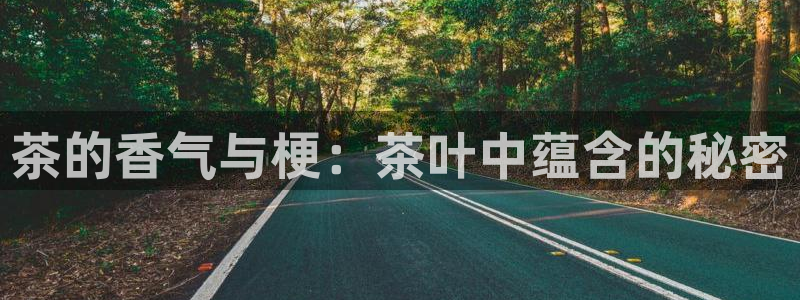 彩名堂加拿大怎么买准确率高