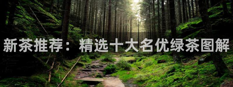 彩名堂官方软件下载