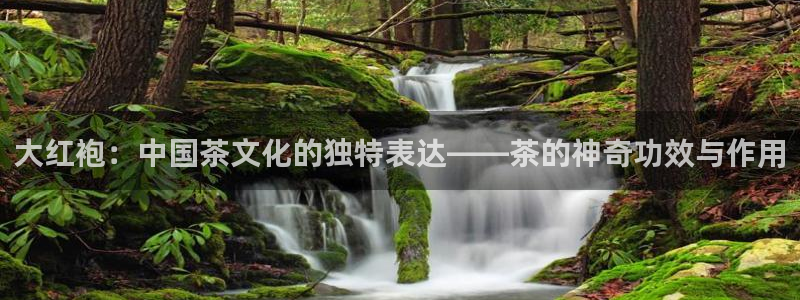 彩名堂免费计划官网怎么进不去了