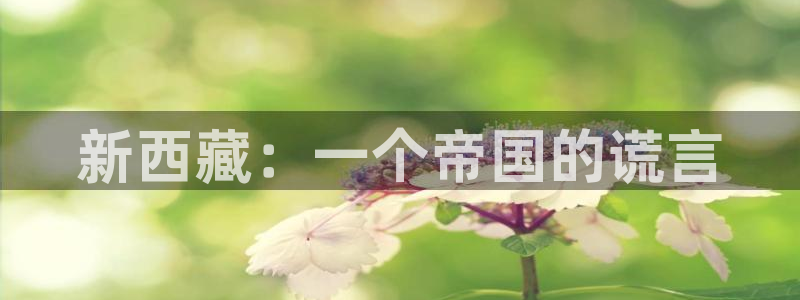 彩名堂的拼音