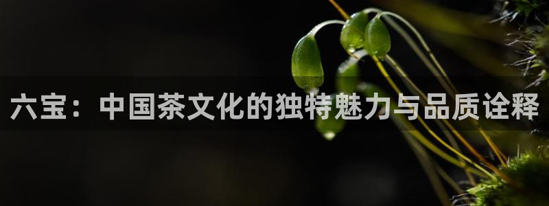 彩名堂免费计划软件下载