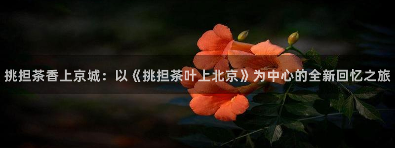 彩名堂预测