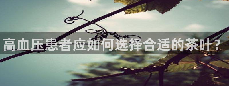 彩名堂怎么选稳定计划