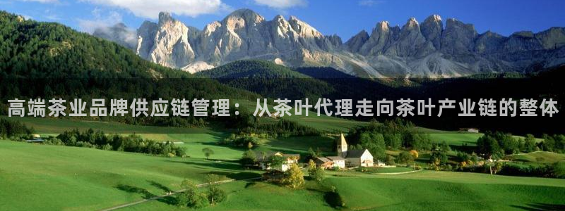 彩名堂使用方法