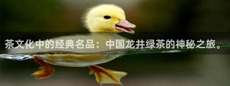 彩名堂免费计划官网老版本