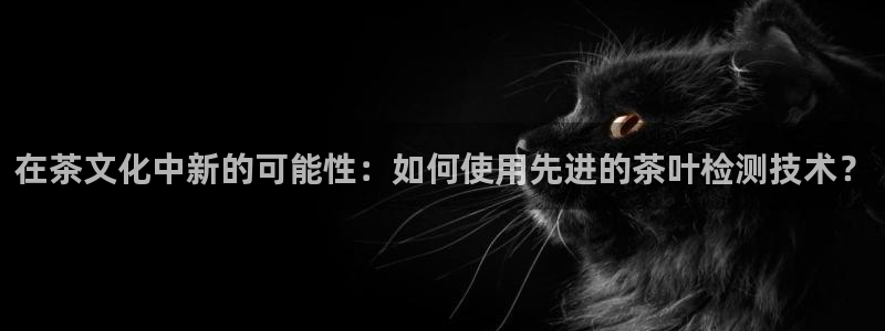 彩名堂计划软件下载
