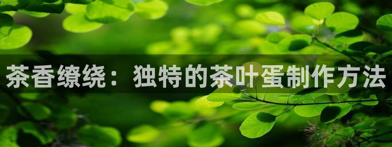 彩名堂官网计划01