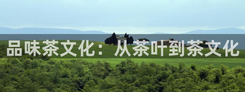 彩名堂手机版官网