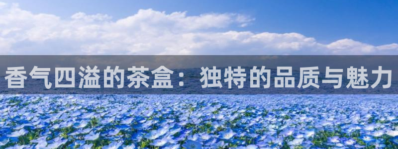 彩名堂客服电话号码