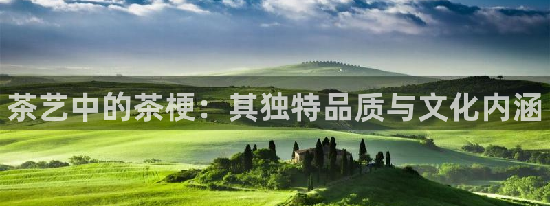 彩名堂5.0计划永久免费版为什么下不了