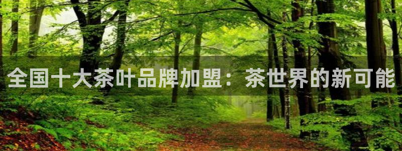 彩名堂好用还是千里马好用
