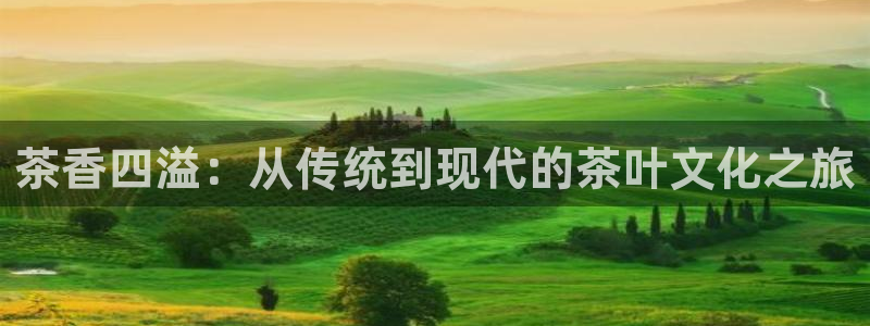彩名堂移动客户端怎么下载