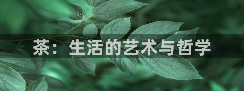 彩名堂客户端是永久免费吗