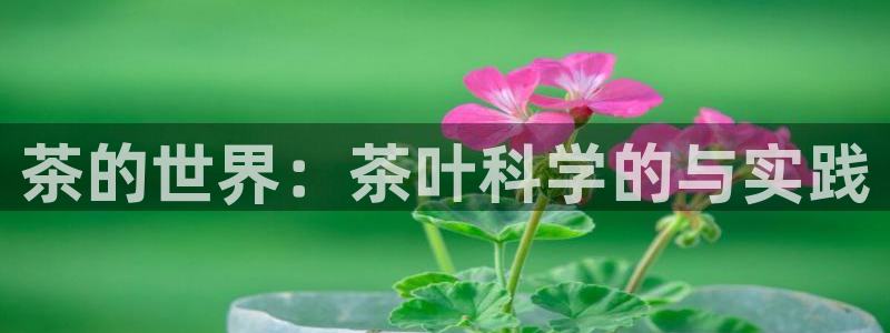 彩名堂客服电话号码