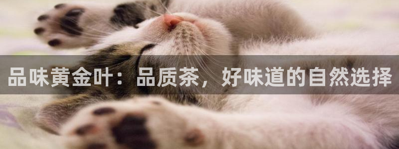 彩名堂免费计划官网50下载957