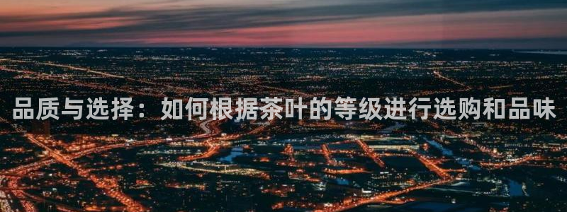 彩名堂在线下载