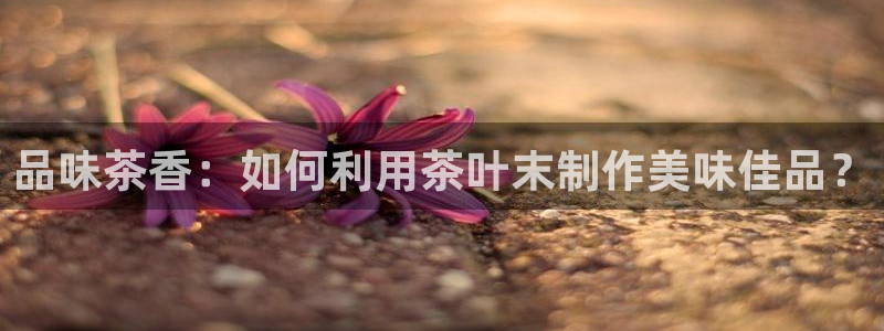 彩名堂全天计划