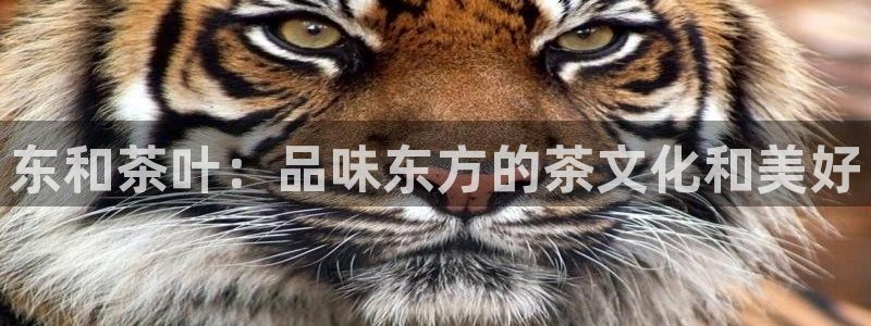 彩名堂官网客户端