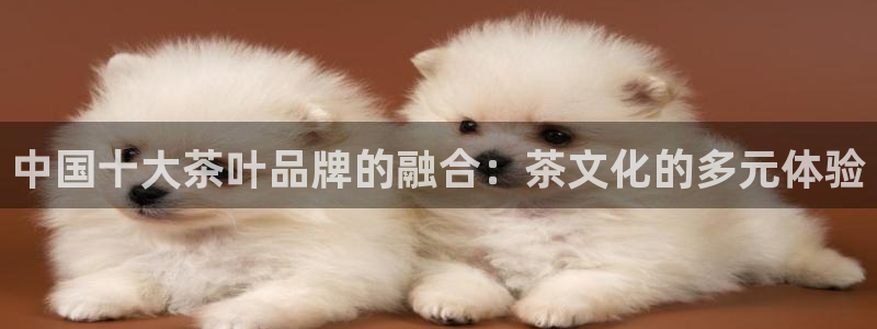 彩名堂一直不出结果怎么回事呀