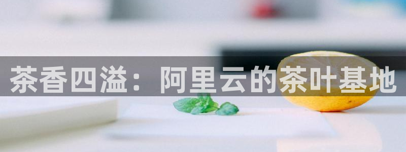 彩名堂使用方法