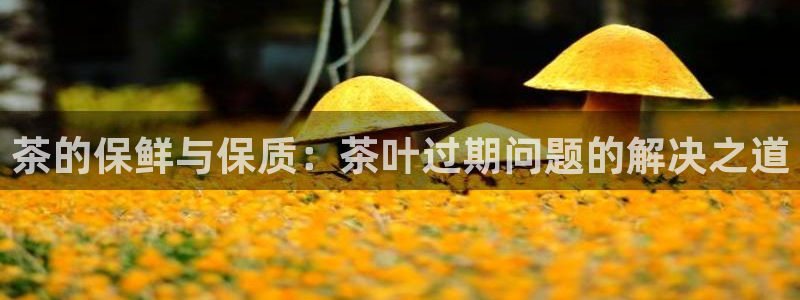 彩名堂在线下载