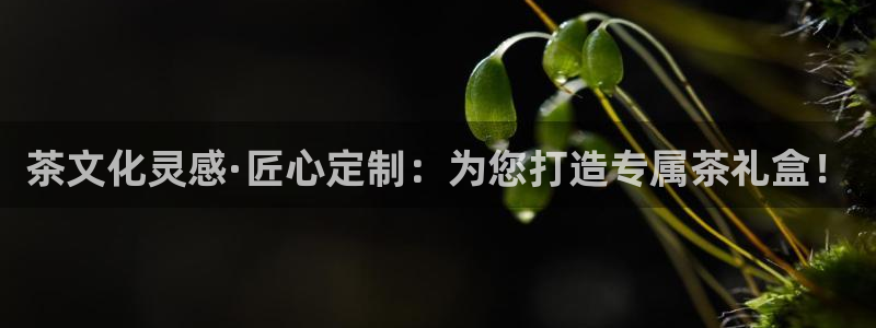 彩名堂预测网站