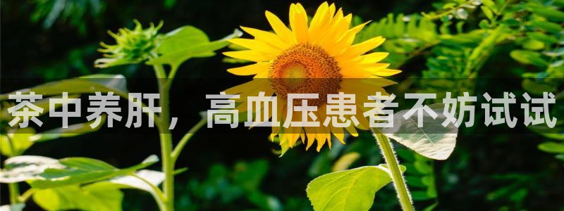 彩名堂免费计划5.0使用方法是什么