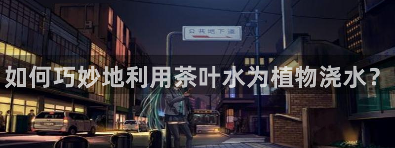 彩名堂5.0计划