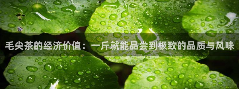 彩名堂app彩名堂客户端