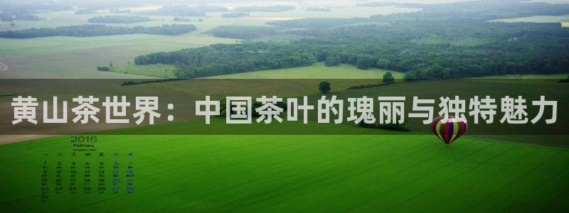 彩名堂手机客户端怎么进不去了
