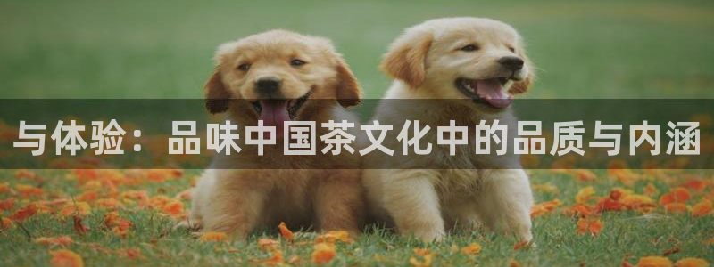 彩名堂官方平台