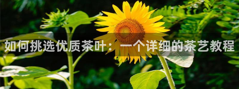 彩名堂免费计划官网5 0