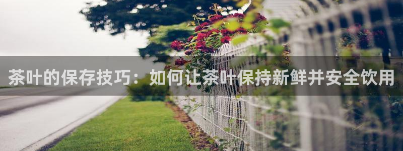 彩名堂计划怎么出的