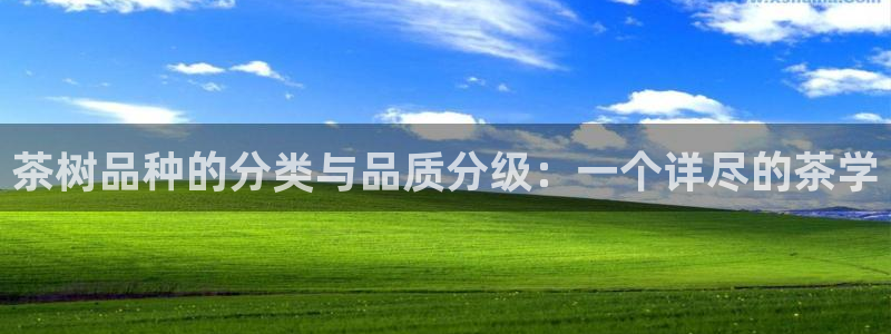 彩名堂双彩网