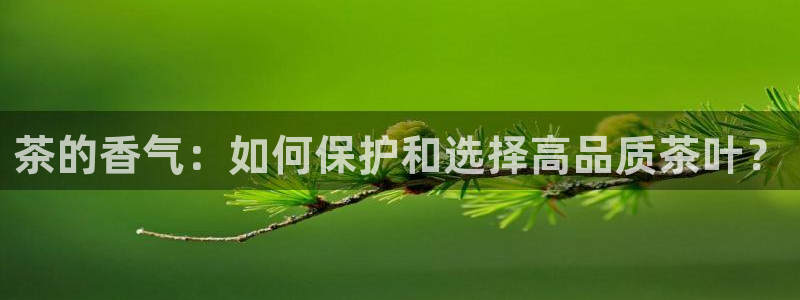 彩名堂还可以用吗