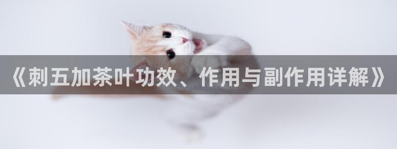 彩名堂彩