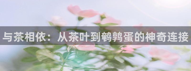 彩名堂怎么打最稳