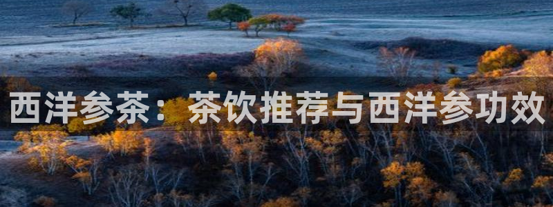 彩名堂计划官网客户端