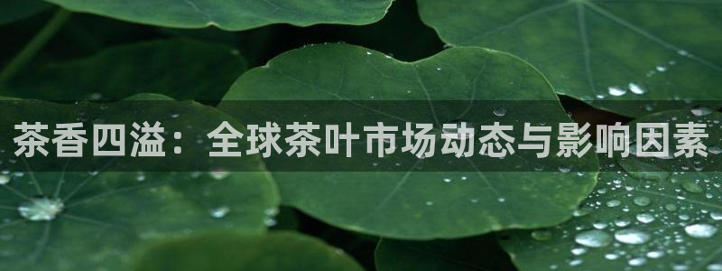 彩名堂5.0!