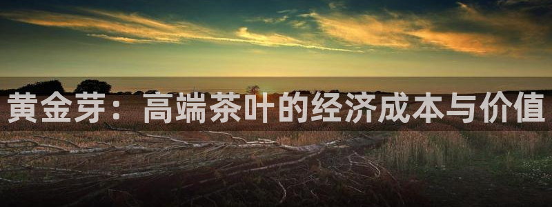 彩名堂客户端是永久免费吗