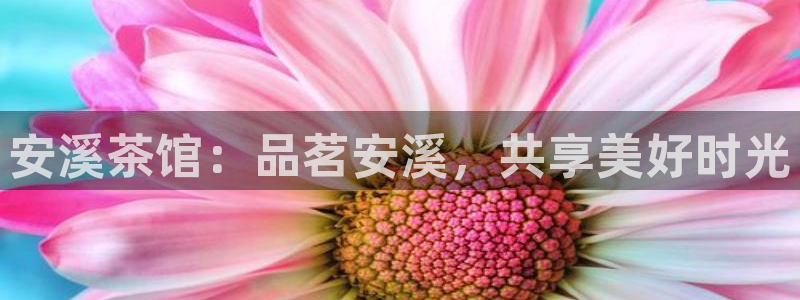 彩名堂50版本计划