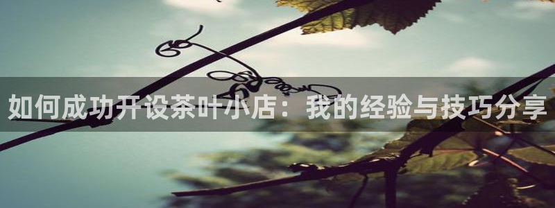 彩名堂用不了
