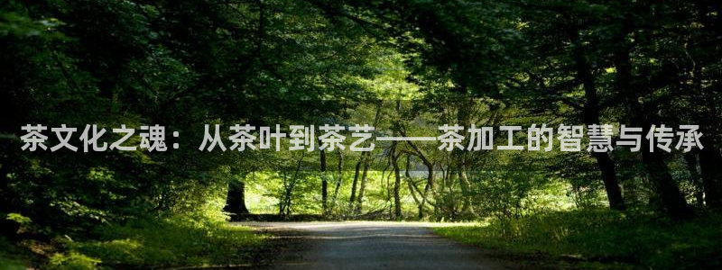 彩名堂计划怎么跟,为什么我一跟就挂