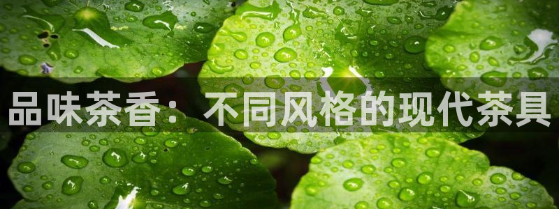 彩名堂使用方法
